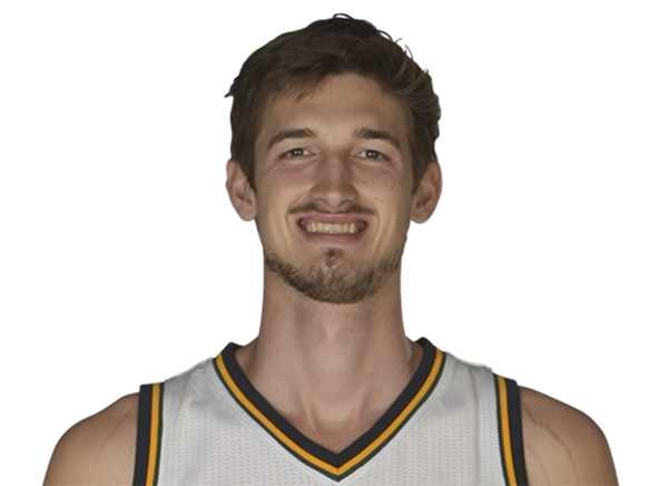 Tibor Pleiss