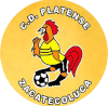 https://img.cdfmsc.com/img/football/team/63b0933cc303927659846a4ed54b1522.png