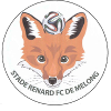 Stade Renard 