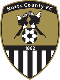 https://img.cdfmsc.com/img/football/team/9e230c89a846b9cadf91884918fa7611.png